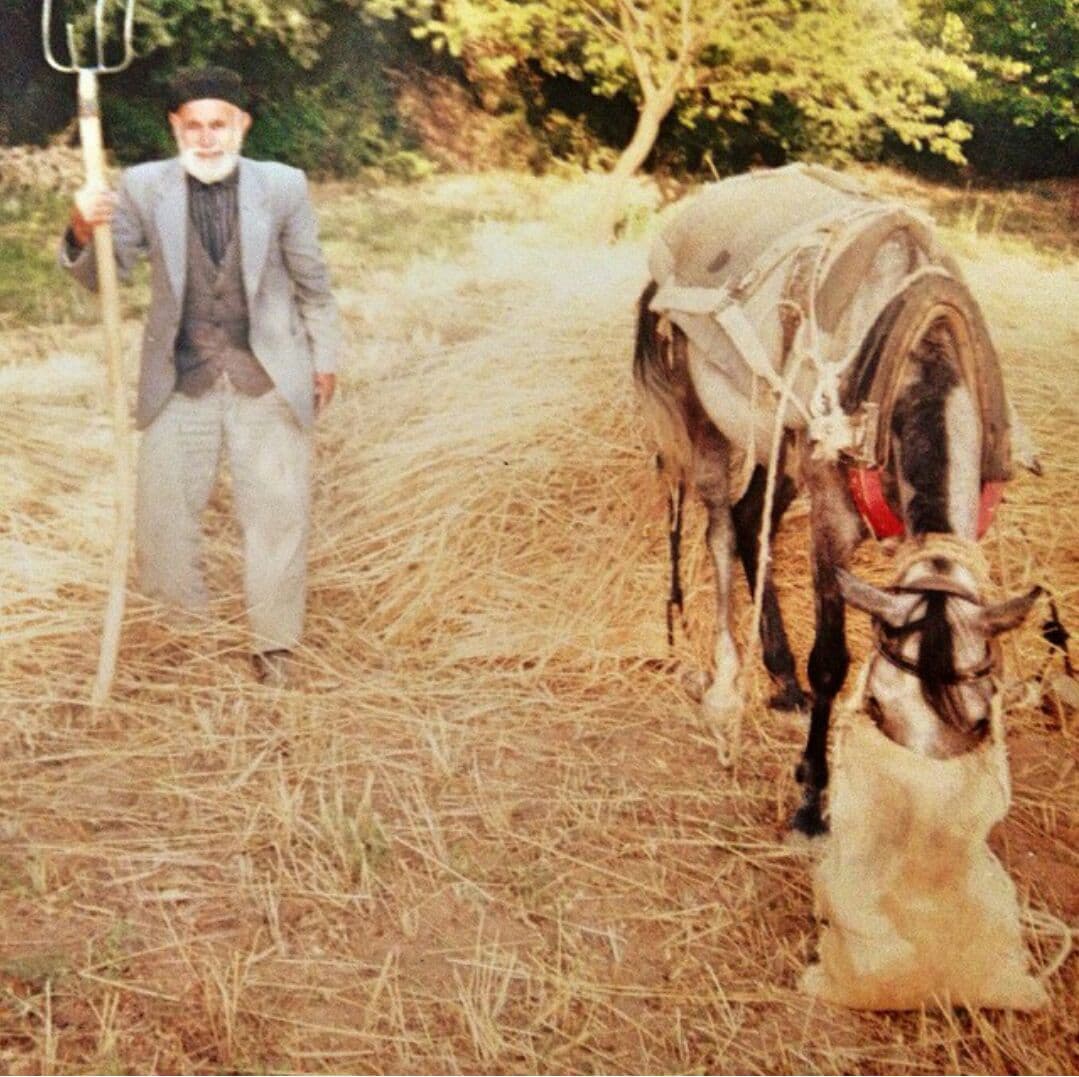 Seyyid Yusuf portresi